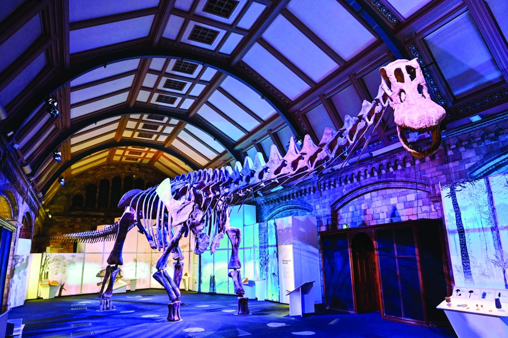متحف بلندن يعرض هيكلا عظميا لأحد أكبر الديناصورات على الإطلاق